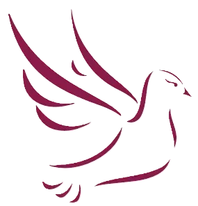 Logo minimaliste représentant une colombe en vol stylisée violette.